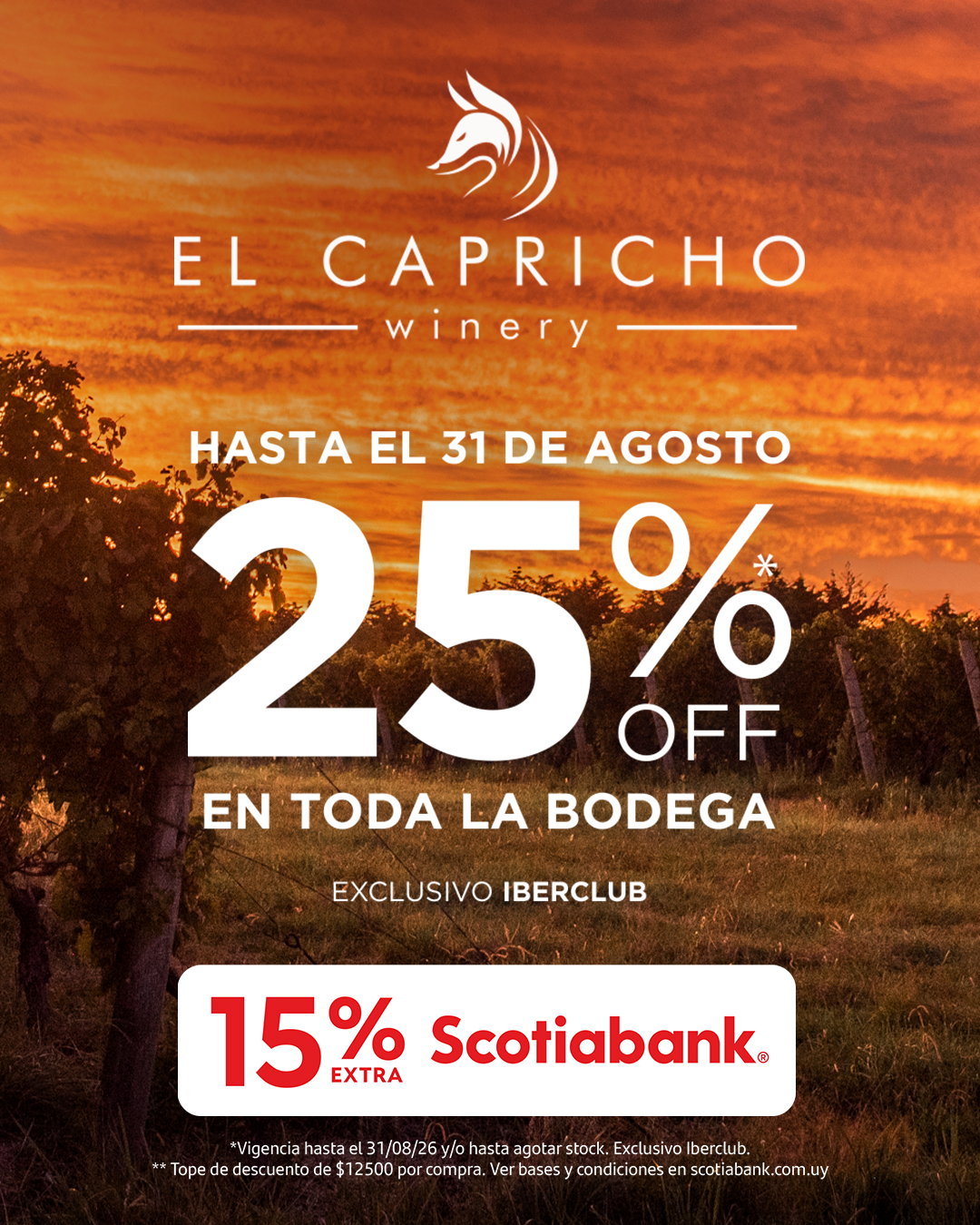 cervezas