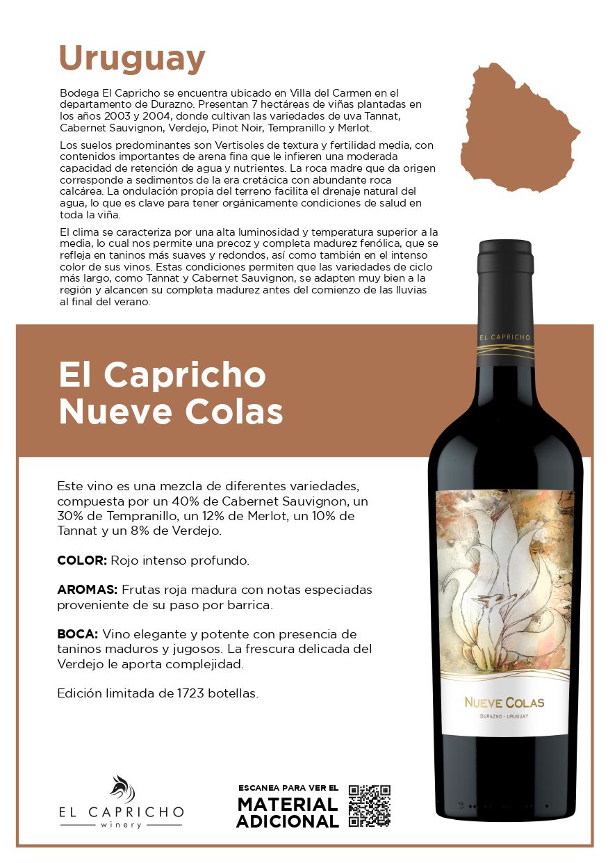 Odoo • Imagen y texto