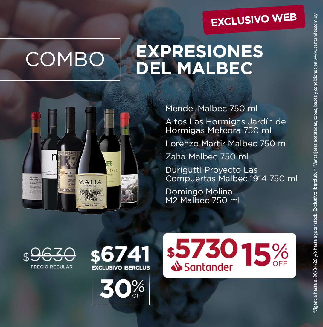 COMBO EXPRESIONES DEL MALBEC