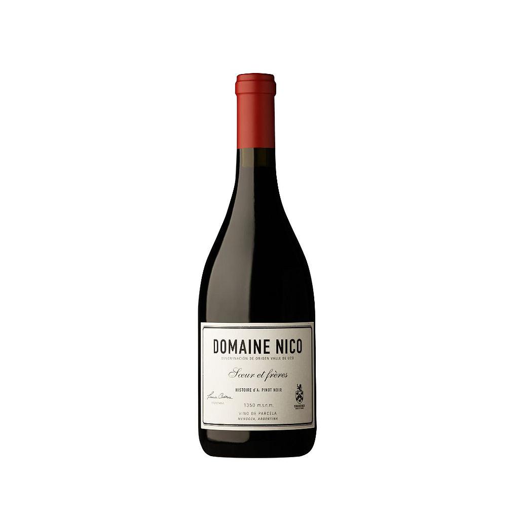 VINO DOMAINE NICO HISTOIRE D'A 750 ML