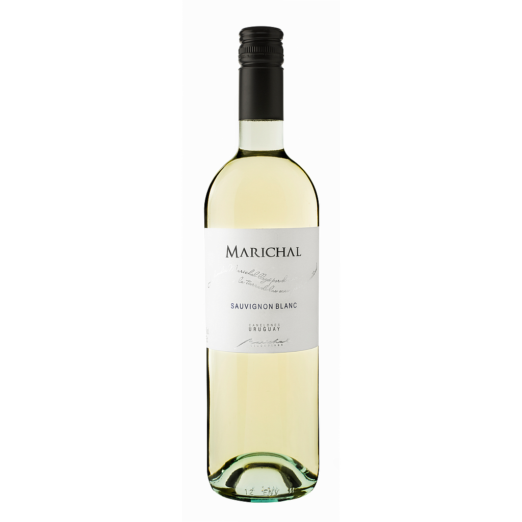 VINO MARICHAL SAUVIGNON BLANC 750 ML