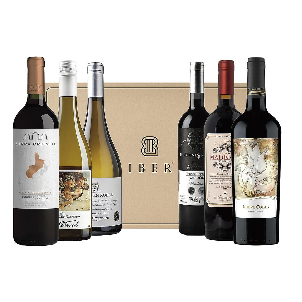 BOX SOMMELIER URUGUAY PEQUEÑOS PRODUCTORES
