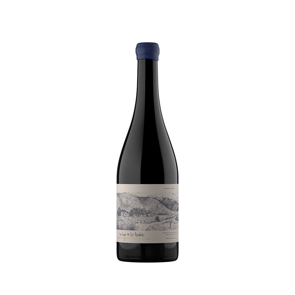 VINO UN LUGAR EN LOS ANDES PINOT NOIR 750 ML