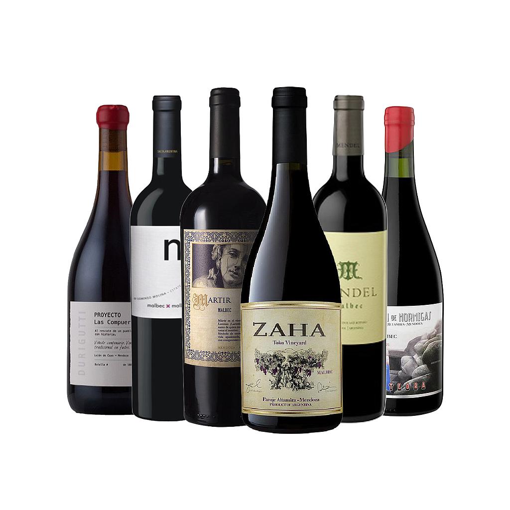 COMBO EXPRESIONES DEL MALBEC
