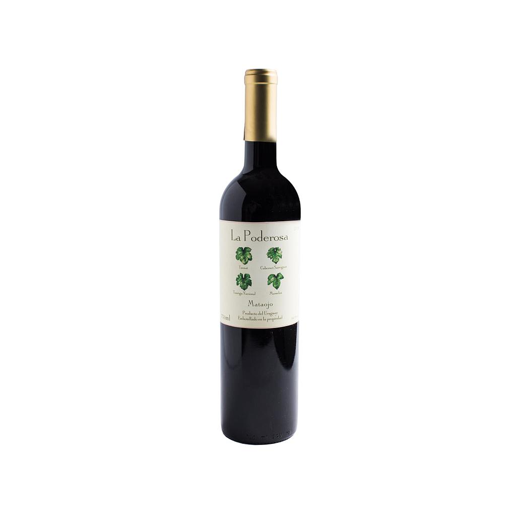 VINO MATAOJO CLASICO MERLOT RESERVA 750 ML