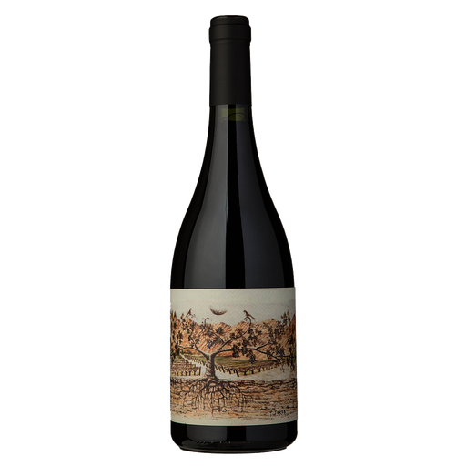 VINO ALMACEN DE LA QUEBRADA PUCARA 750 ML