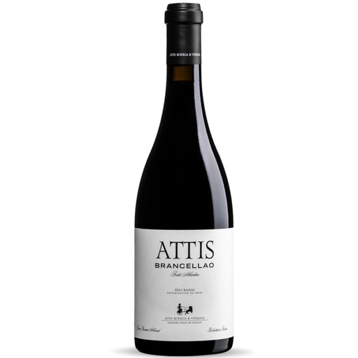 [4684] VINO ATTIS BRANCELLAO 2019 750 ML