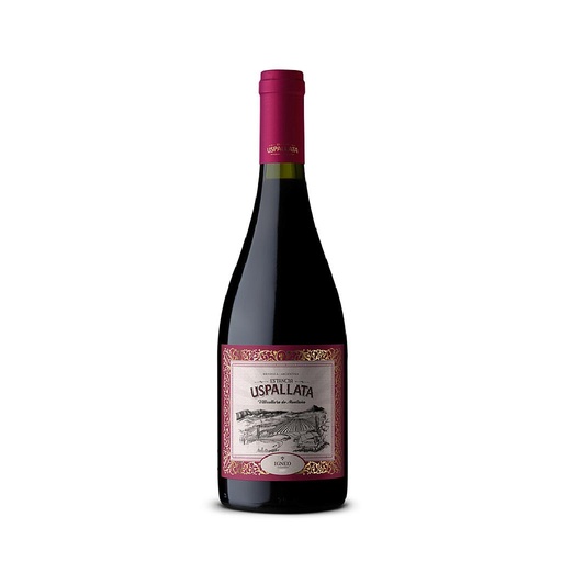 [33018] VINO ESTANCIA USPALLATA IGNEO 750 ML