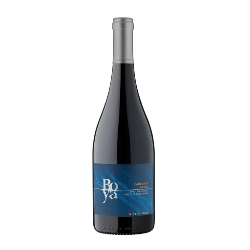 [1819] VINO GARCES SILVA BOYA CABERNET FRANC 750 ML