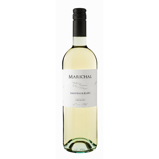VINO MARICHAL SAUVIGNON BLANC 750 ML