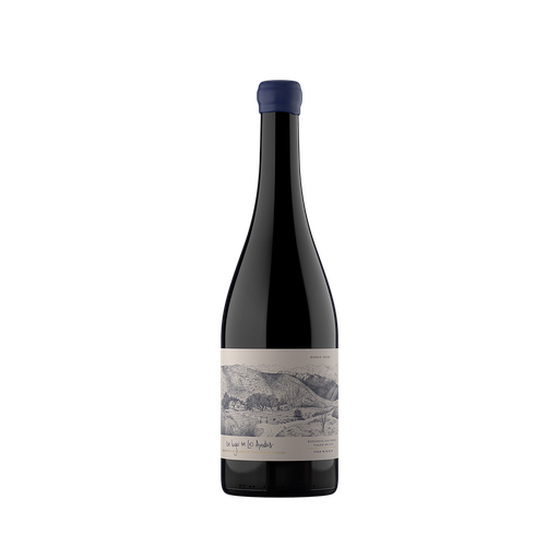 VINO UN LUGAR EN LOS ANDES PINOT NOIR 750 ML