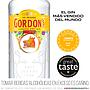 GIN GORDONS 750 ML