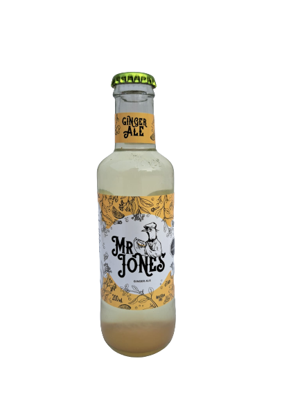 GINGER ALE MR JONES 200 ML