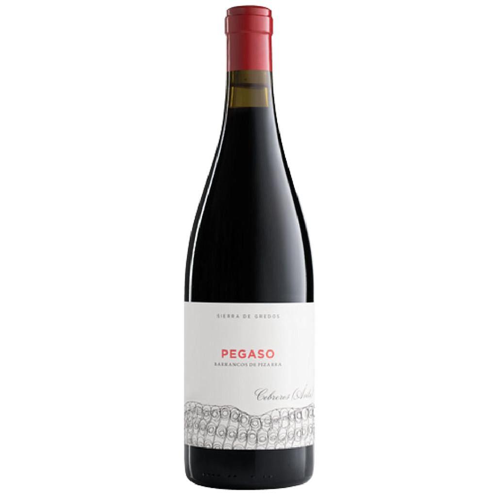 VINO TELMO RODRIGUEZ PEGASO PIZARRA 2020 750 ML