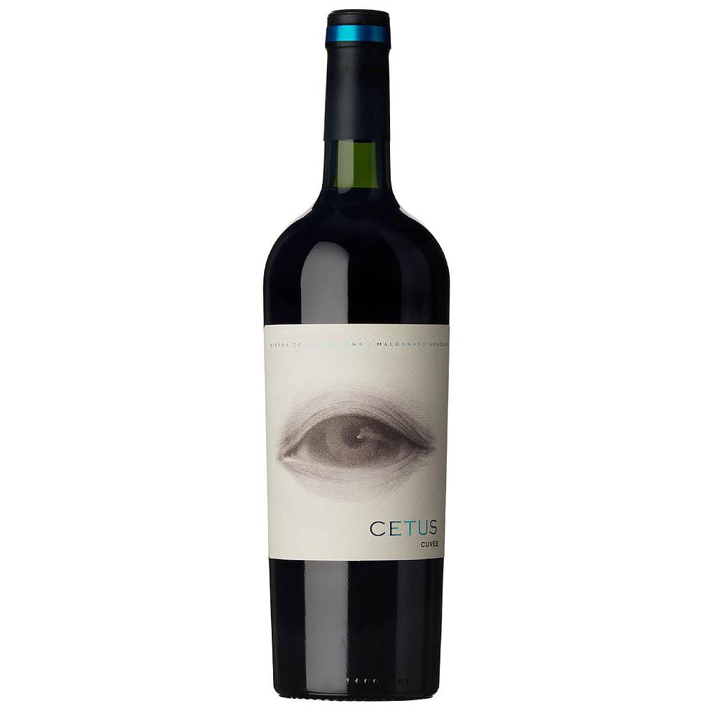 VINO CETUS SYRAH 750 ML