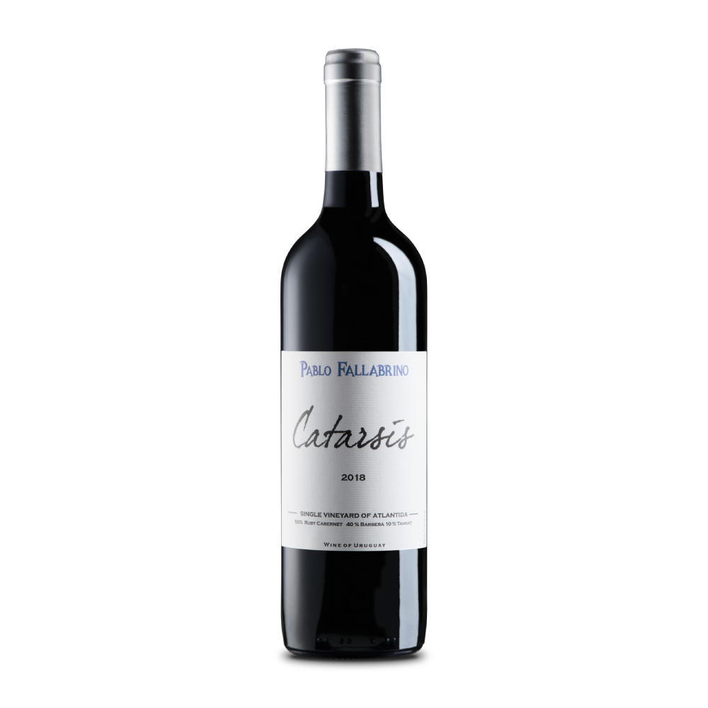 VINO PABLO FALLABRINO CATARSIS 750 ML